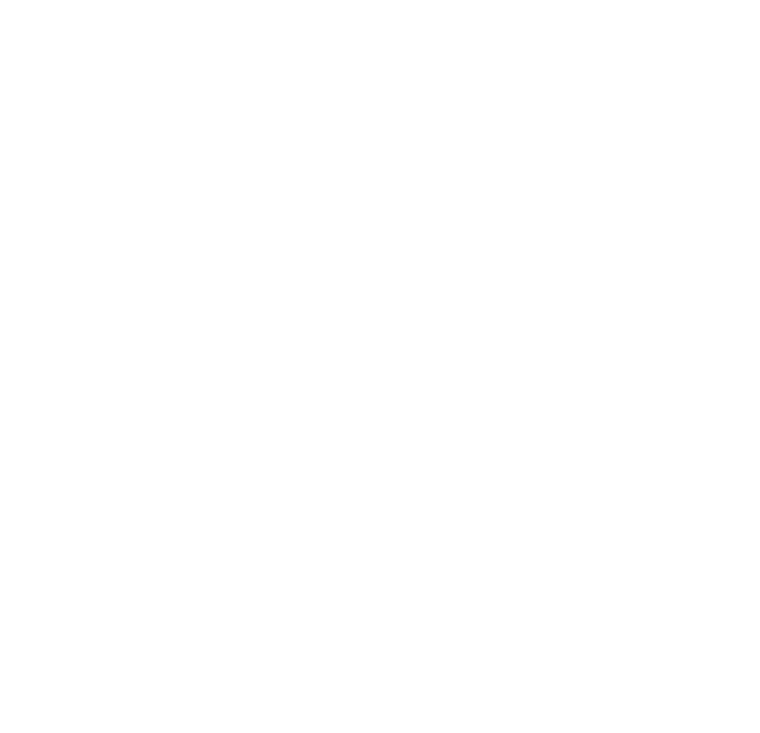 Allendale_Main_logo_v5_Final_Allendale Logo 1 - White
